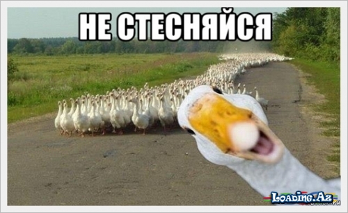 He стесняйся - LoaDinG.Az