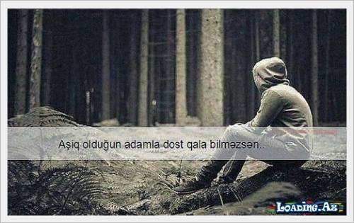 Nə dost ola bildik, nə də sevgili - LoaDinG.Az
