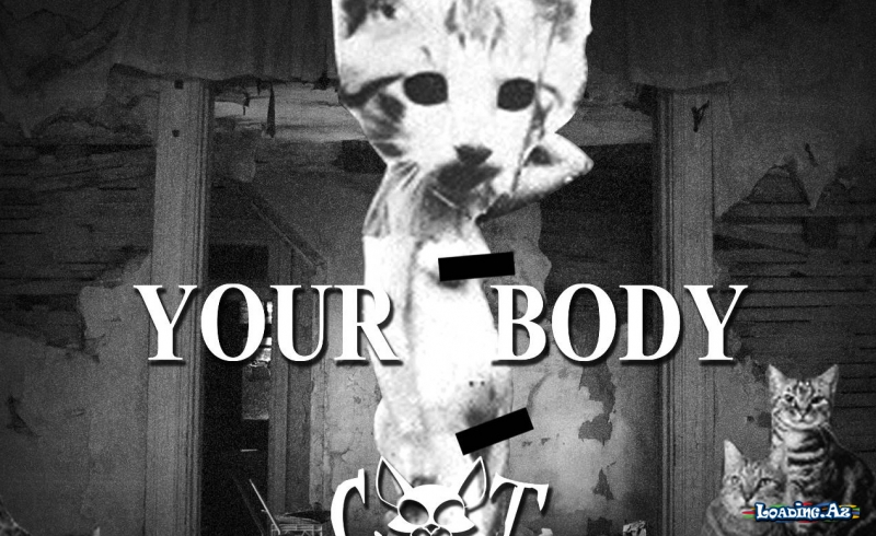Cat Dealers - Your Body - LoaDinG.Az