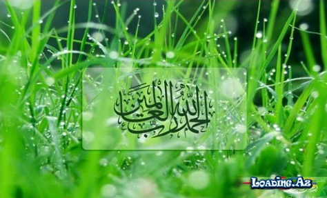 Sələf alimi [ Hekayə ] - LoaDinG.Az