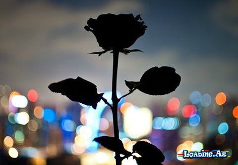 Həyata keçməyən boş ümidlər - LoaDinG.Az