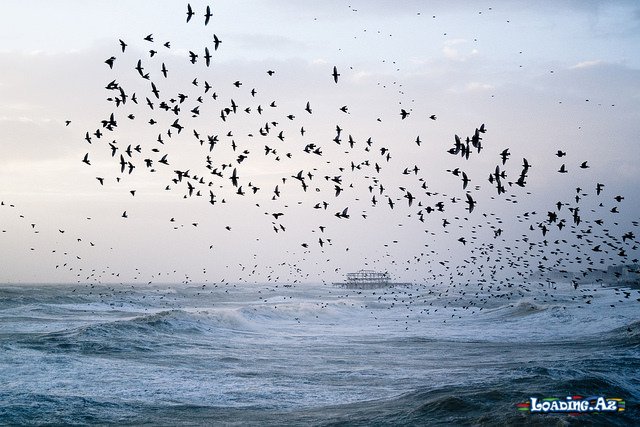 __Güvənsizlik__ - LoaDinG.Az