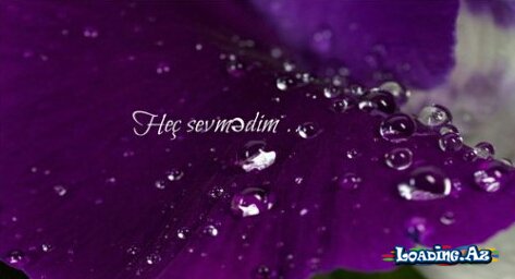 Heç sevmədim - LoaDinG.Az