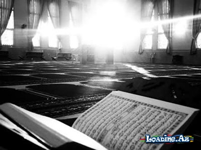 Quranda adı çəkilən quş. Faydaları sonsuzdur - LoaDinG.Az