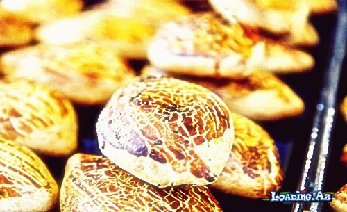 Pəhriz saxlayanlar üçün kəsmikli bulka - RESEPT - LoaDinG.Az