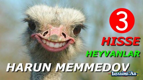 Harun Memmedov - Heyvanlar 3 - LoaDinG.Az