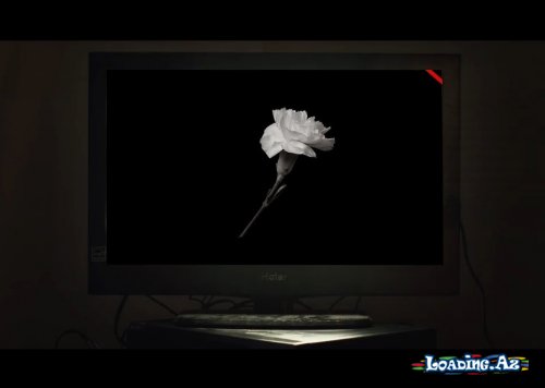 Pranga - Qərənfil (ft. Xəzər) - LoaDinG.Az