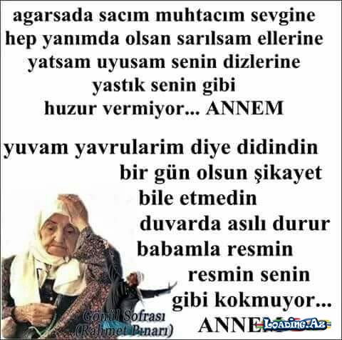 ANA)))