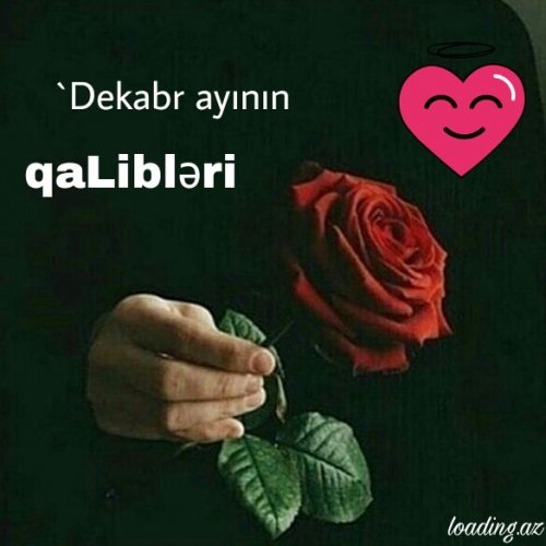 Dekabr ayının qaLibLəri (2017)