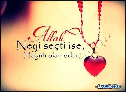 Kelebeğin Umudu (11.Bölüm)