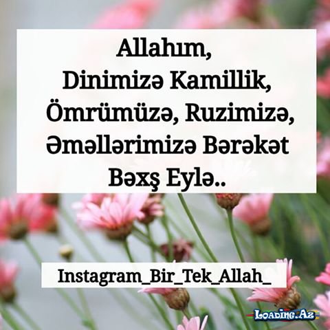 İnsanı iki qanad qaldıra bilər - LoaDinG.Az