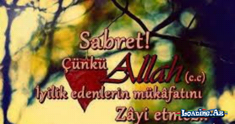 OLMAYINCA_OLMUR {5}