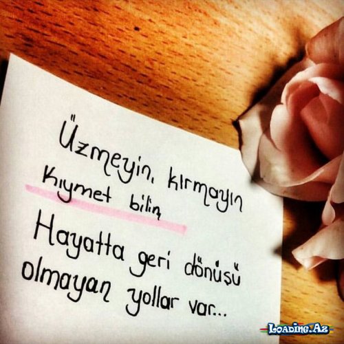 OLMAYINCA_OLMUR {8}