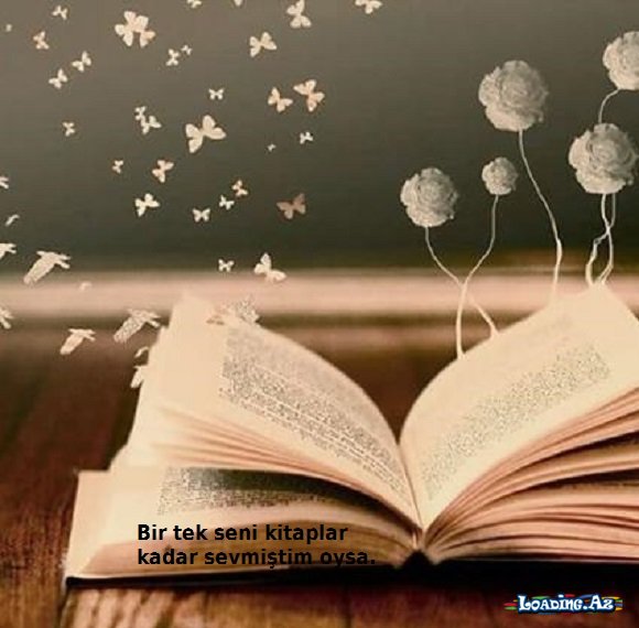 +Unutmaqmı !?  - Dəlisən...