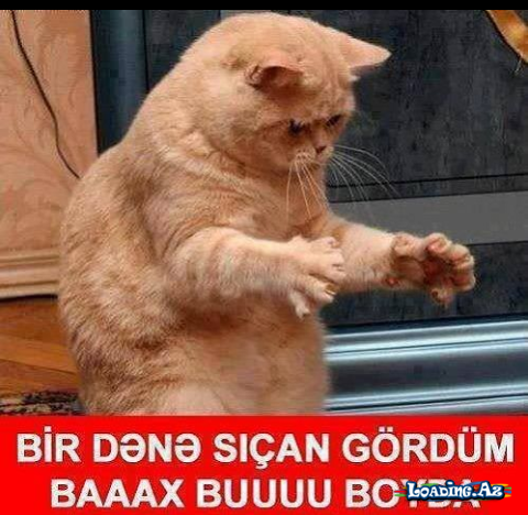 Ciddi ol).. - LoaDinG.Az
