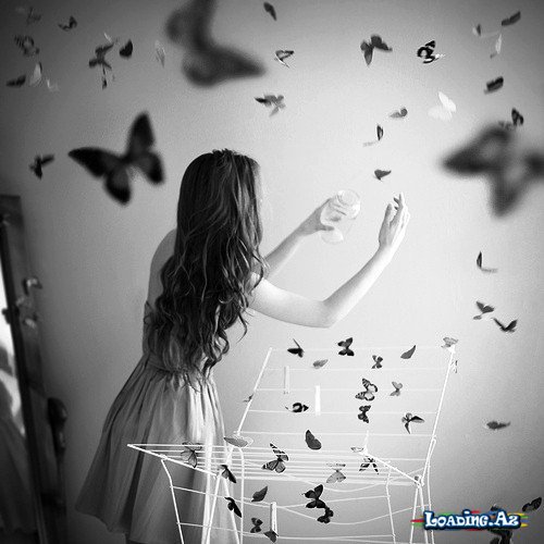 🧡🦋...~my love butterfly~...🦋🧡