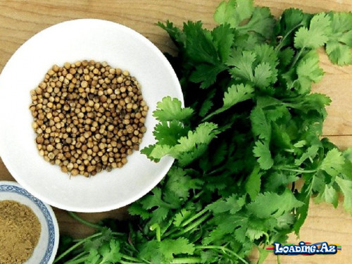 Keşniş (Lat.Coriandrum satvium) haqqında
