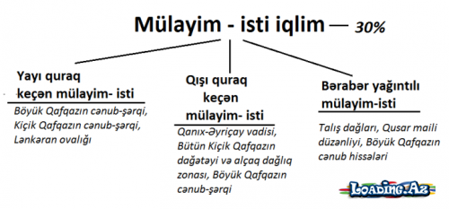 İqlim tipləri