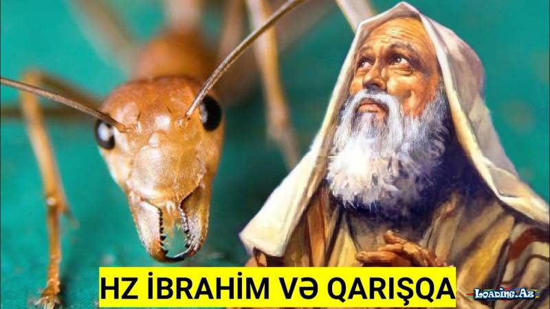 Qarışqa və Hz.İbrahim`in hekayəsi