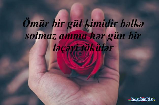 Həyat öyrədir insana;İtirməkdən qorxmağı.Qazanamaq üçün çalışmağı.