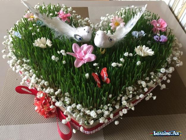 Novruz! Sehirli bayramdır. Bayramda, küsənlər barışır, sevənlər qovuşur. Novruz bayramınız mübarək olsun!