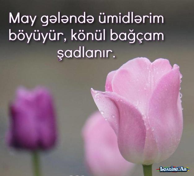 May gələndə ümidlərim böyüyür, könül bağçam şadlanır.