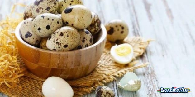 Bildirçin yumurtasının faydaları