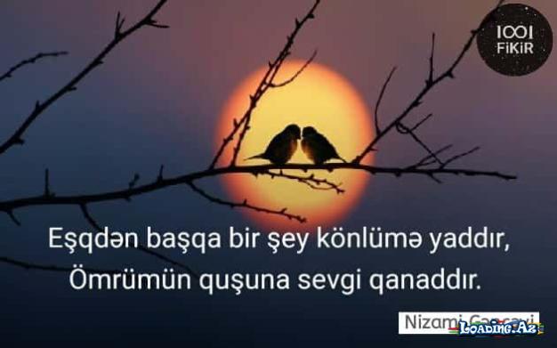 Sevgi Sözləri - LoaDinG.Az