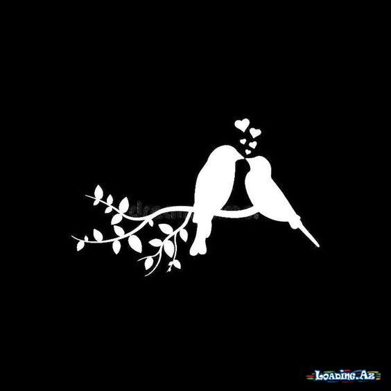 Qarışıq şəkillər (61) - LoaDinG.Az