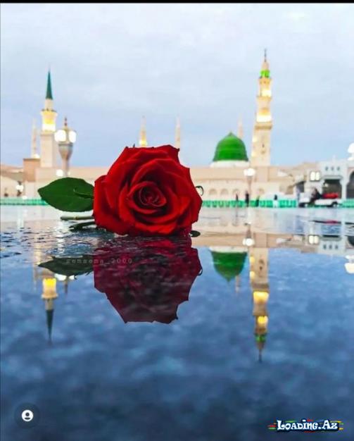 islamda qadin kisi beraberliyi.