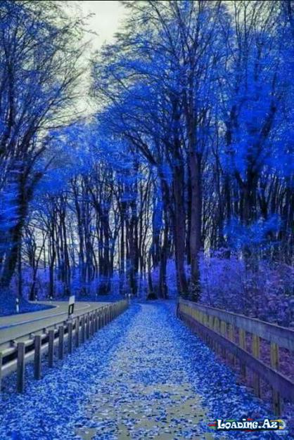 Beautiful nature😍 - LoaDinG.Az