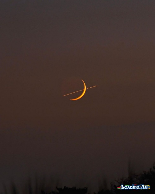 🌙MOON🌙