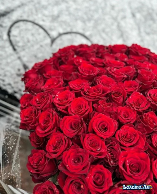 🌷Flower's🌷