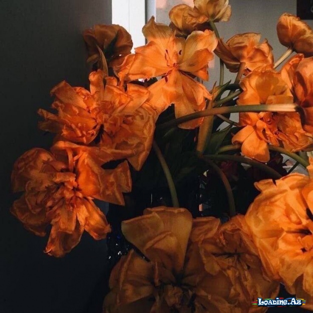 🧡 NARINCI 🧡 - LoaDinG.Az