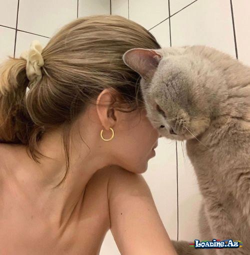 😻Cat's lovee😻