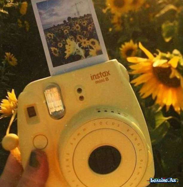 🌻AyÇiçeği🌻 - LoaDinG.Az