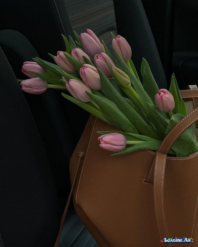 💐Çiçəkli Dünya💐