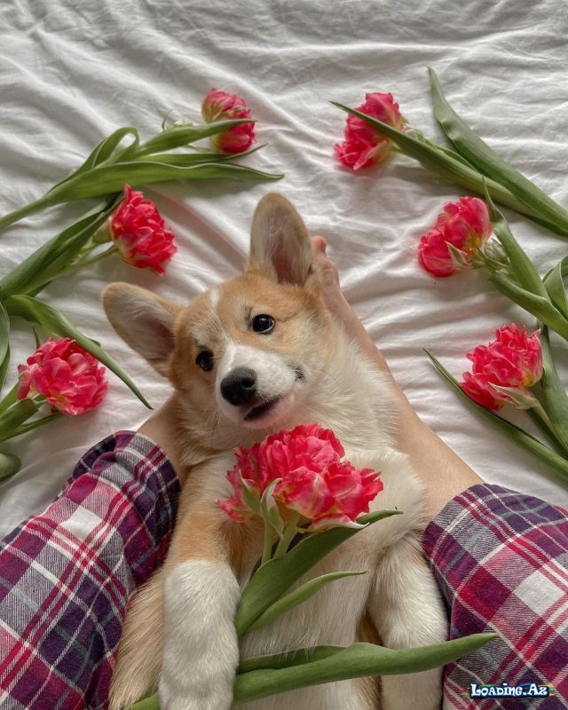 💐Çiçəkli Dünya💐