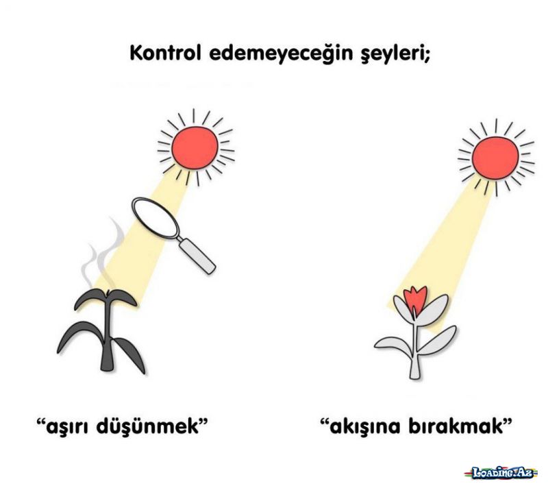 Bi Dünya Laf "3" - LoaDinG.Az