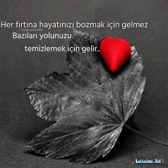 Özlemeyi bilmeyen sevmeyi nerden bilecek.