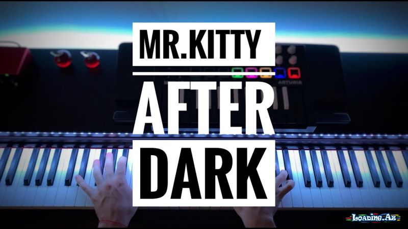 Mr.Kitty - After Dark