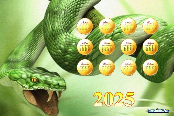 İlan ili:2025-ci ildə hər bürc üçün nə vəd edir