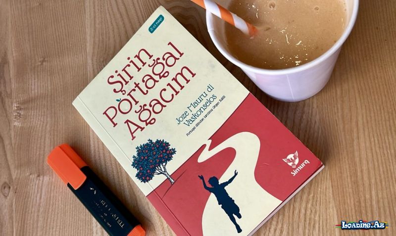 Joze Mauru di Vaskonselosun “Şirin Portağal Ağacım” əsərindən seçdiyim sətirlər Joze Mauru di Vaskonselosun “Şirin Portağal Ağacım” əsərindən seçdiyim sətirlər