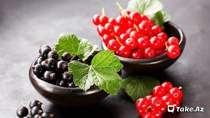 Qara və qırmızı qarağatın faydaları