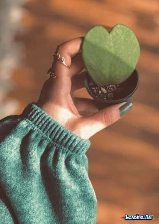 Bizi basdırmağa çalışdılar. Amma toxum olduğumuzu bilmirdilər... - LoaDinG.Az