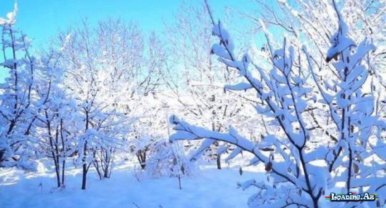 QAR: qışın gözəlliyi, yazın barı, uşaqlıq xatirələrimiz