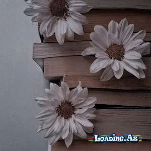 Qarğanın hekayəsi (Romandan parça) - LoaDinG.Az