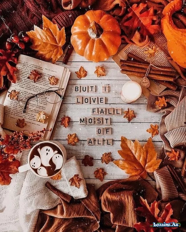 Fall Vibes - LoaDinG.Az