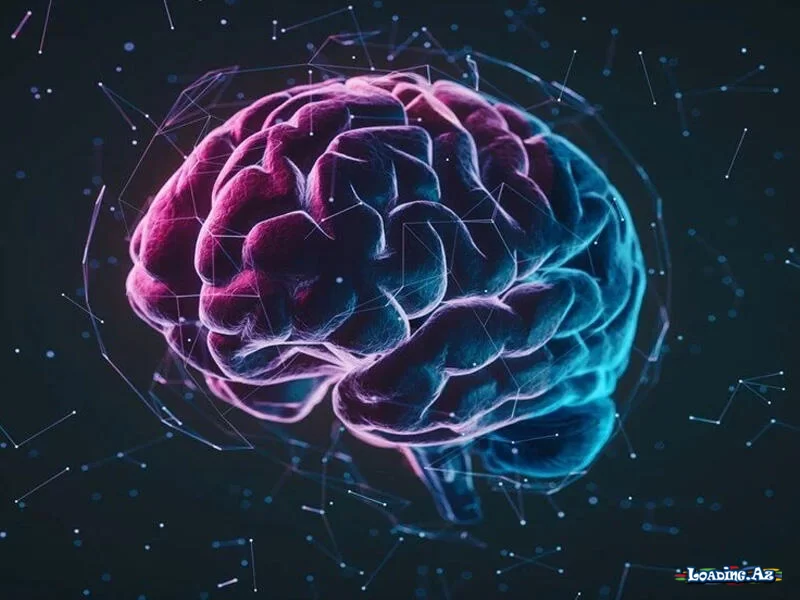 Alimlər beyni gücləndirməyin pulsuz üsulunu tapdılar - LoaDinG.Az