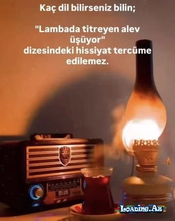 Bu eşqin qədrini heç bilmədin ki. - LoaDinG.Az